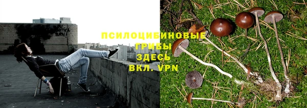 мяу мяу кристалл Карпинск