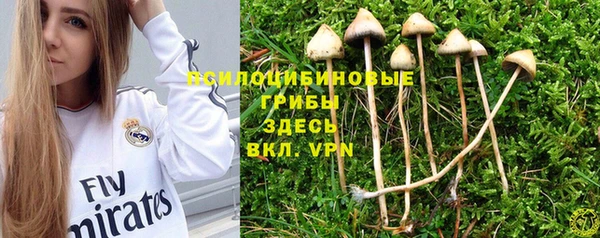 прущая мука Касимов